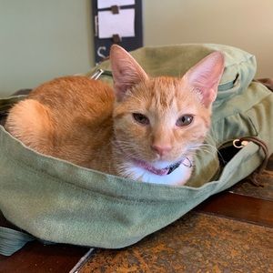 Meet your Posher, Mandy